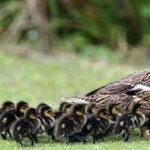 Mulailah Dari Diri Sendiri