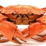 Sifat Kepiting